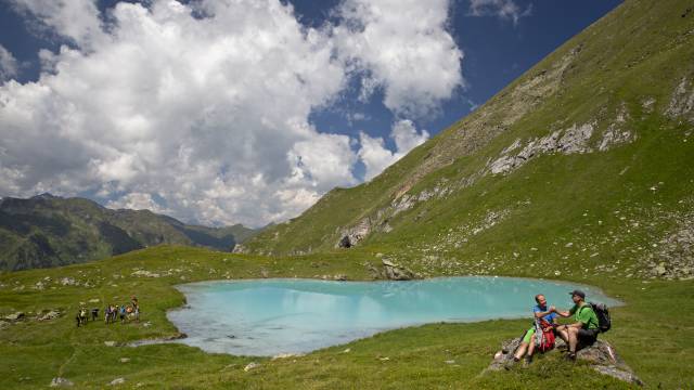 Wanderer mit Stöcken und mit Blick auf die Alpen