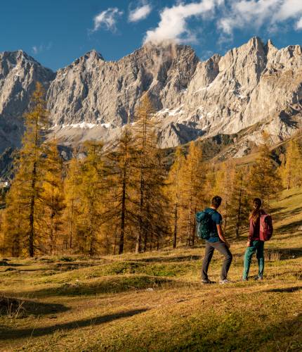 Herbsturlaub im Schütterhof