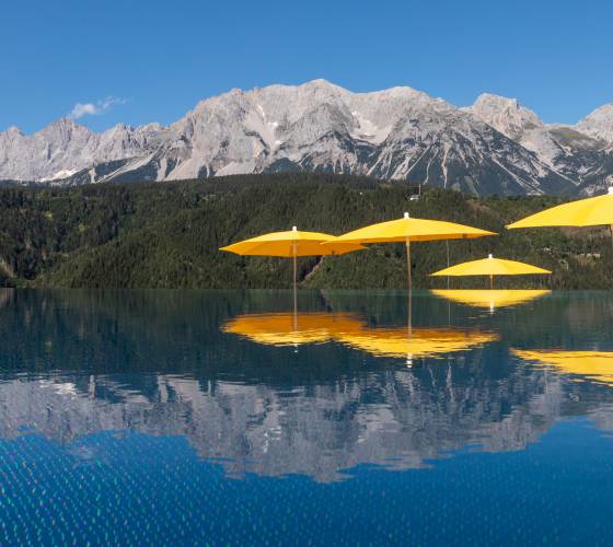 Infinity Pool (Harald Steiner) - Hotel Schütterhof