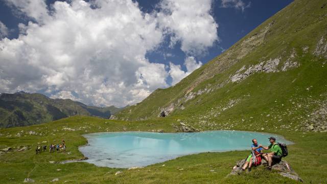 Wanderer mit Stöcken und mit Blick auf die Alpen