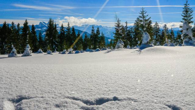 Detailbild Herz im Schnee