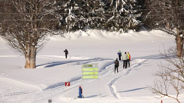 Cross-country ski trails near Schladming in Austria