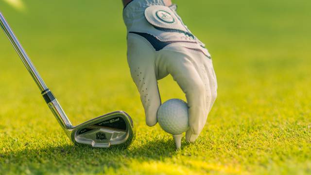 Detailbild Golf