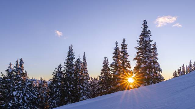 Skihotel Schütterhof in Schladming in Österreich im Winter